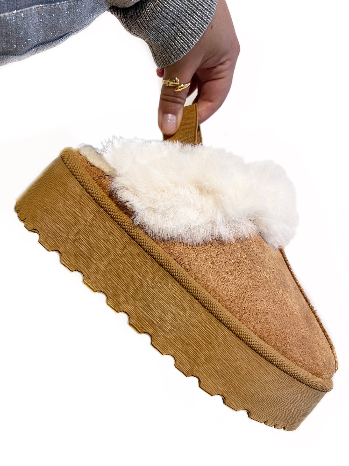 Pantubota Camel