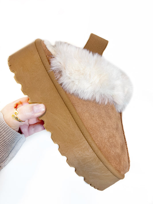 Pantubota Camel